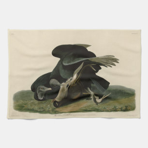 Zwarte cultuur, van de Amerikaanse vogels van Audu Theedoek
