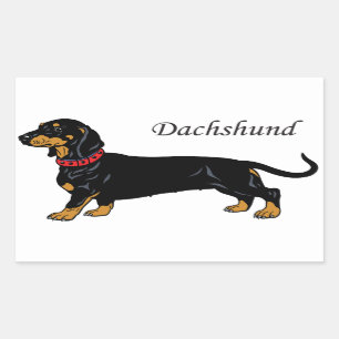 zwarte dachshund rechthoekige sticker