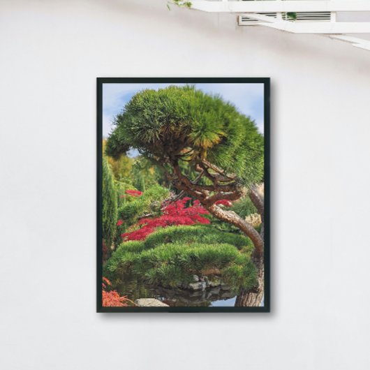 Zwarte dennen en rode Japanse esdoorn Perfect Poster