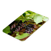 ZWARTE DRUIVEN MAGNEET (Linkerzijde)