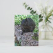 Zwarte eekhoorn briefkaart (Staand voorkant)