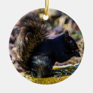 Zwarte eekhoorn keramisch ornament