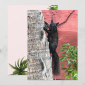 Zwarte Eekhoorn Platte Kaart (Voorkant / Achterkant)