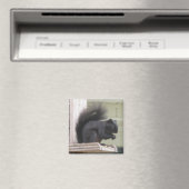Zwarte eekhoorn vierkante magneet (Insitu (Vaatwasser))