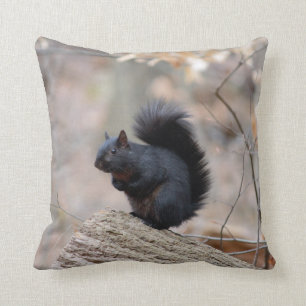 Zwarte eekhoorntjes Bossen Kussen