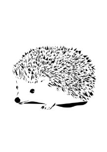 Egel Tekening Posters en afdrukken | Zazzle.be