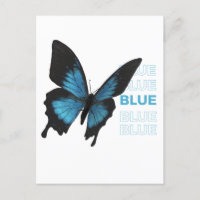 Zwarte en blauwe vlinder