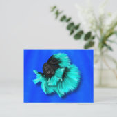 Zwarte en Blauwgroen bètavis Briefkaart (Staand voorkant)