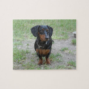 Zwarte en bruine Dachshund Legpuzzel