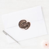 Zwarte en gele kogelpython ronde sticker (Envelop)