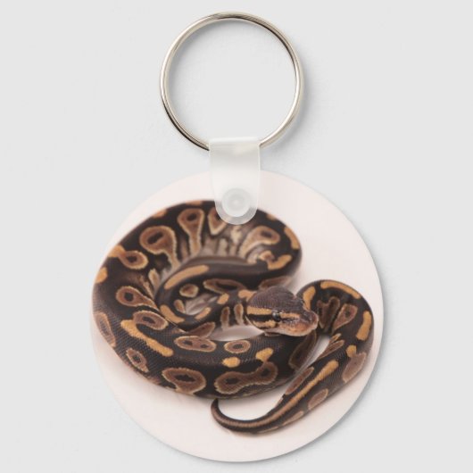 Zwarte en gele kogelpython sleutelhanger (Voorkant)