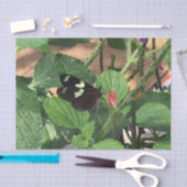 Zwarte en gele vlinder in de lente tissuepapier (Craft)