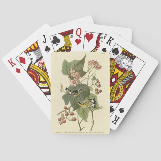 Zwarte en gele Warblers Amerikaanse vogels Pokerkaarten (Achterkant)