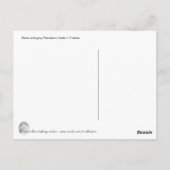 Zwarte en grijze percheronveulens in Frankrijk Briefkaart (Achterkant)