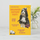 Zwarte en Oranje hond in piratenkostuumfeest Kaart (Staand voorkant)