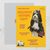 Zwarte en Oranje hond in piratenkostuumfeest Kaart (Voorkant / Achterkant)