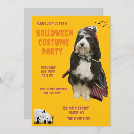 Zwarte en Oranje hond in piratenkostuumfeest Kaart (Voorkant / Achterkant)