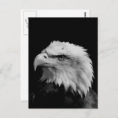 Zwarte en witte adelaar briefkaart (Voorkant / Achterkant)