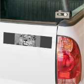 Zwarte en witte Afrikaanse lion Bumpersticker (Op Truck)