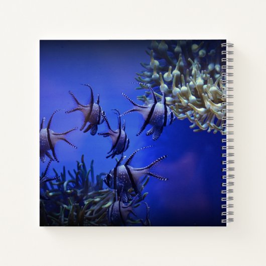 Zwarte en Witte Angelvis in het Deep Blue Zee Notitieboek (Achterkant)