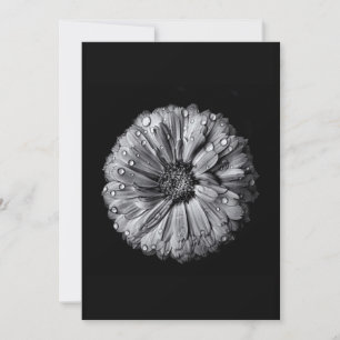 Zwarte en witte bloemen 10