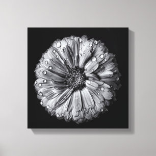 Zwarte en witte bloemen 10 canvas afdruk