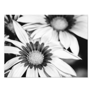 Zwarte en witte bloemen foto afdruk