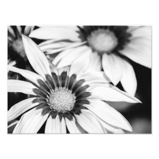 Zwarte en witte bloemen foto afdruk