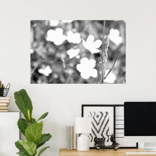 Zwarte en witte bloemen Moderne kunstfoto's Poster
