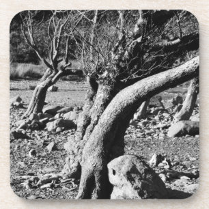 ZWARTE EN WITTE BOMEN BIER ONDERZETTER