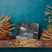 ZWARTE EN WITTE BOMEN EN GATE FOTOPLAAT (Zijkant)