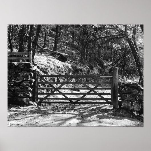 ZWARTE EN WITTE BOMEN EN GATE LANDSCHAP POSTER (Voorkant)
