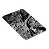 ZWARTE EN WITTE BOMEN MAGNEET (Rechterzijde)