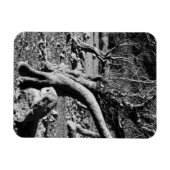 ZWARTE EN WITTE BOMEN MAGNEET (Horizontaal)