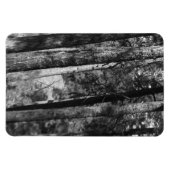 zwarte en witte bomen overal magneet (Horizontaal)