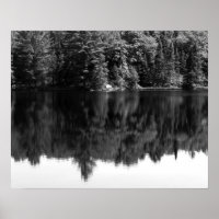 Zwarte en witte bomen Reflectie in het water 16x20