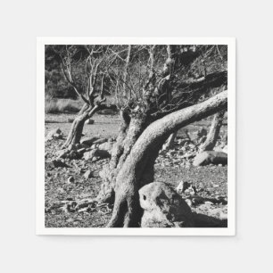 ZWARTE EN WITTE BOMEN SERVET