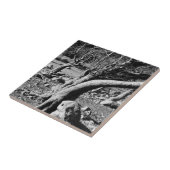 ZWARTE EN WITTE BOMEN TEGELTJE (Zijkant)