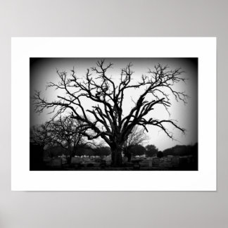 zwarte en witte boom op het kerkhof poster