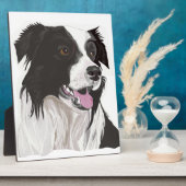 zwarte en witte collie bruine ogen fotoplaat (Zijkant)