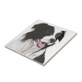 zwarte en witte collie bruine ogen tegeltje (Zijkant)