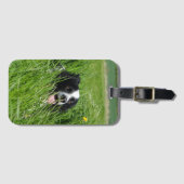 Zwarte en witte collie in Grass Bagagelabel (Voorkant (horizontaal))