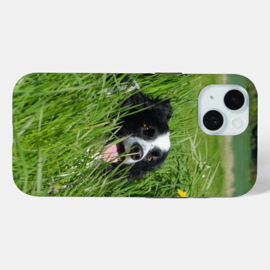 Zwarte en witte collie in Grass Case-Mate iPhone Case (Achterkant (horizontaal))