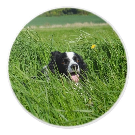 Zwarte en witte collie in Grass Keramische Knop (Voorkant)