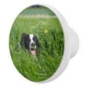 Zwarte en witte collie in Grass Keramische Knop (Rechts)