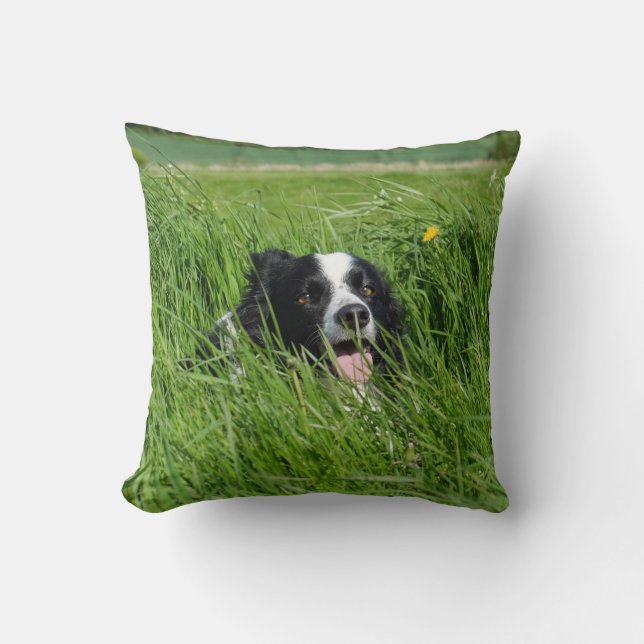 Zwarte en witte collie in Grass Kussen (Voorkant)