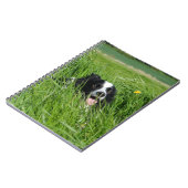 Zwarte en witte collie in Grass Notitieboek (Linkerzijde)