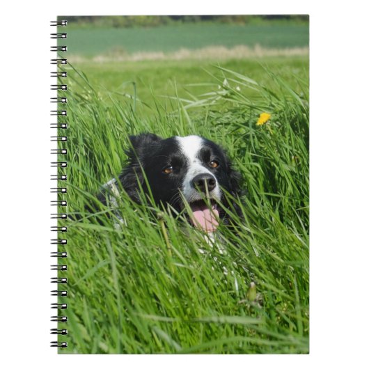 Zwarte en witte collie in Grass Notitieboek (Voorkant)