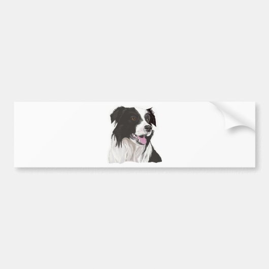 Zwarte en witte collie met bruine ogen bumpersticker (Voorkant)