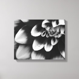 Zwarte en Witte Dahlia Bloem Canvas Afdruk